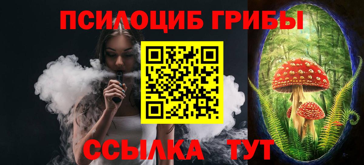 Псилоцибиновые грибы GOLDEN TEACHER  Вход с VPN  Гусь-Хрустальный 